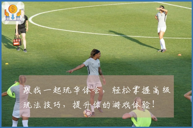 跟我一起玩华体会，轻松掌握高级玩法技巧，提升你的游戏体验！