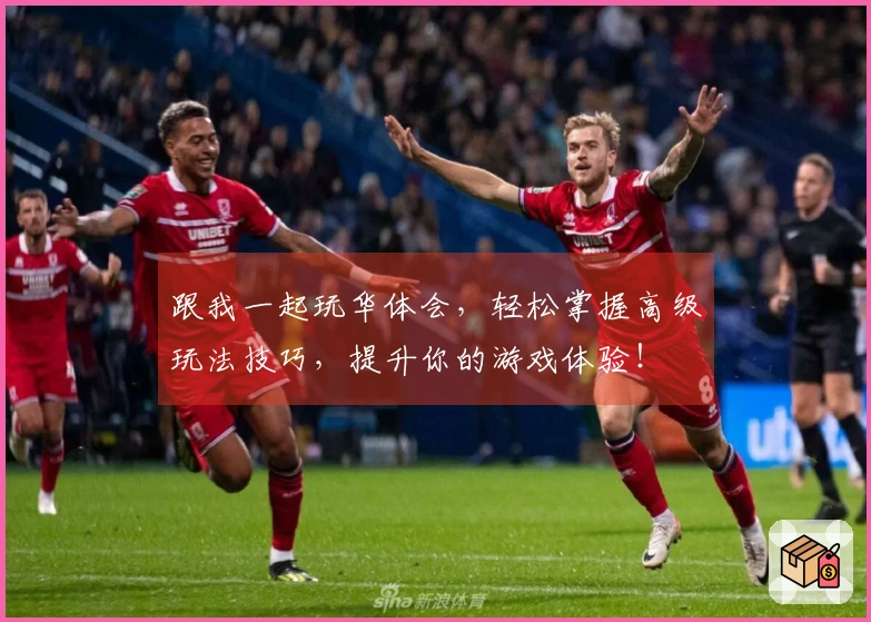 跟我一起玩华体会，轻松掌握高级玩法技巧，提升你的游戏体验！