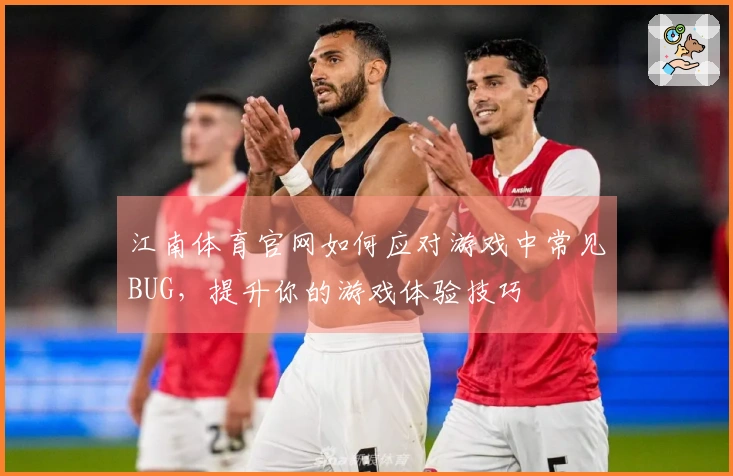 江南体育官网如何应对游戏中常见BUG，提升你的游戏体验技巧