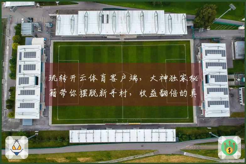 玩转开云体育客户端，大神独家秘籍带你摆脱新手村，收益翻倍的真实体验！