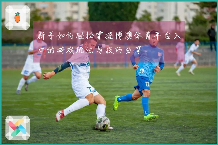 新手如何轻松掌握博澳体育平台入口的游戏玩法与技巧分享