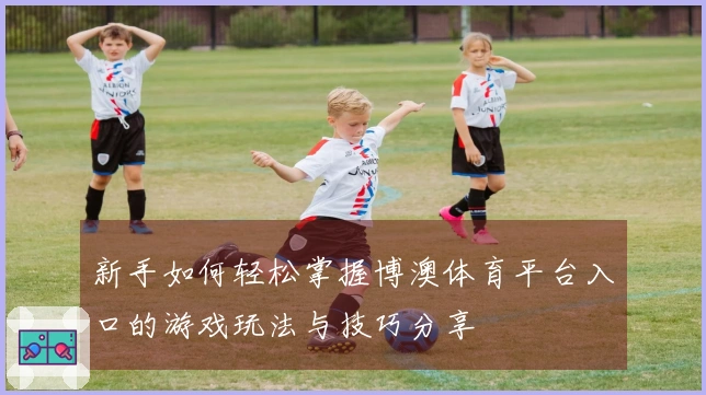 新手如何轻松掌握博澳体育平台入口的游戏玩法与技巧分享